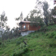 Cottages in Kodaikanal